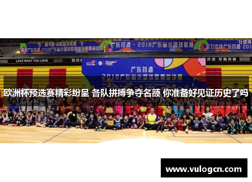 欧洲杯预选赛精彩纷呈 各队拼搏争夺名额 你准备好见证历史了吗