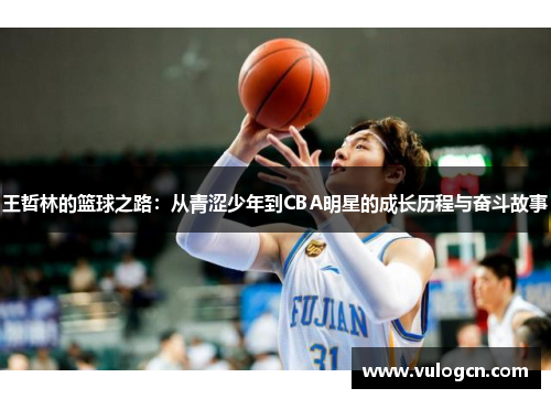 王哲林的篮球之路：从青涩少年到CBA明星的成长历程与奋斗故事